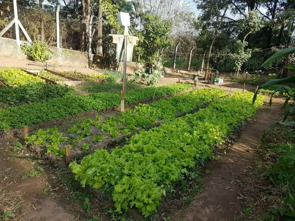 Conclusão - Recorrer a uma clínica de reabilitação pode ser a chave para a recuperação de muitas pessoas. Em Mairiporã, o tratamento involuntário é uma opção para aqueles que precisam de ajuda urgente e não reconhecem isso. Com uma estrutura moderna, equipe dedicada e uma abordagem humanizada, essas clínicas oferecem uma nova chance de vida.