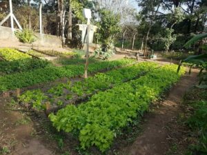 Conclusão - Recorrer a uma clínica de reabilitação pode ser a chave para a recuperação de muitas pessoas. Em Mairiporã, o tratamento involuntário é uma opção para aqueles que precisam de ajuda urgente e não reconhecem isso. Com uma estrutura moderna, equipe dedicada e uma abordagem humanizada, essas clínicas oferecem uma nova chance de vida.